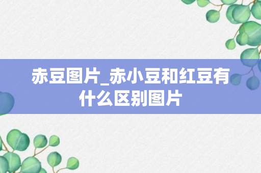 赤豆图片_赤小豆和红豆有什么区别图片