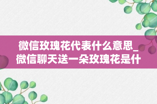 微信玫瑰花代表什么意思_微信聊天送一朵玫瑰花是什么意思