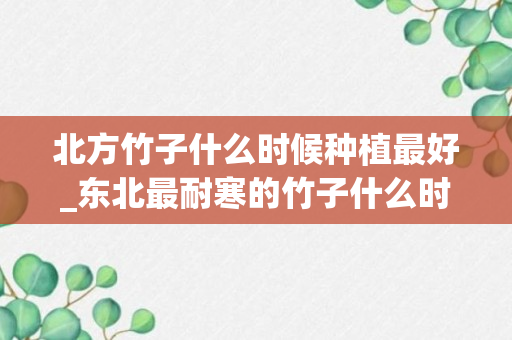 北方竹子什么时候种植最好_东北最耐寒的竹子什么时候栽种