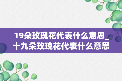 19朵玫瑰花代表什么意思_十九朵玫瑰花代表什么意思