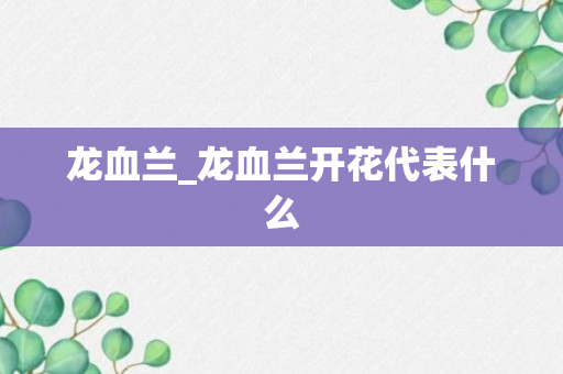 龙血兰_龙血兰开花代表什么