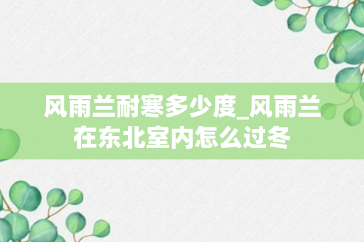 风雨兰耐寒多少度_风雨兰在东北室内怎么过冬