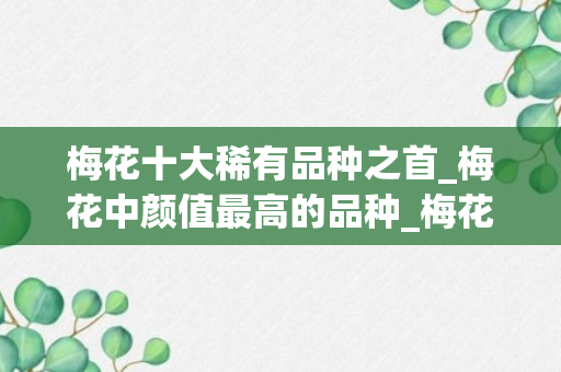 梅花十大稀有品种之首_梅花中颜值最高的品种_梅花最名贵的品种