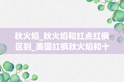 秋火焰_秋火焰和红点红枫区别_美国红枫秋火焰和十月光辉的区别