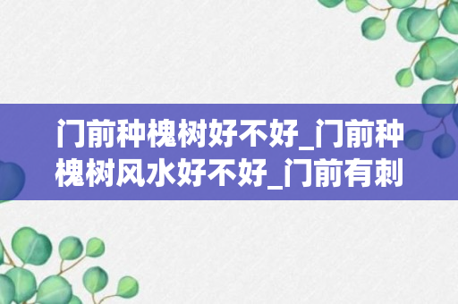 门前种槐树好不好_门前种槐树风水好不好_门前有刺槐树的风水好不好