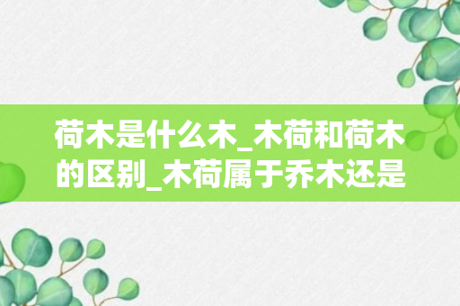 荷木是什么木_木荷和荷木的区别_木荷属于乔木还是灌木