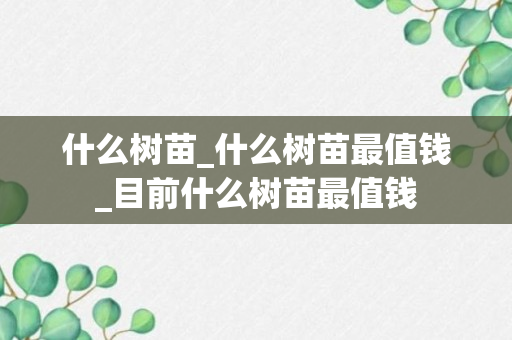 什么树苗_什么树苗最值钱_目前什么树苗最值钱