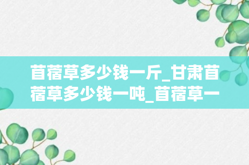 苜蓿草多少钱一斤_甘肃苜蓿草多少钱一吨_苜蓿草一年亩产多少斤每斤多少钱