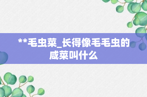 **毛虫菜_长得像毛毛虫的咸菜叫什么