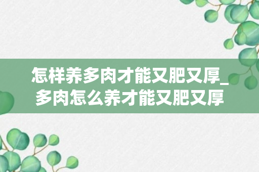 怎样养多肉才能又肥又厚_多肉怎么养才能又肥又厚