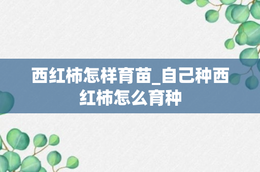 西红柿怎样育苗_自己种西红柿怎么育种