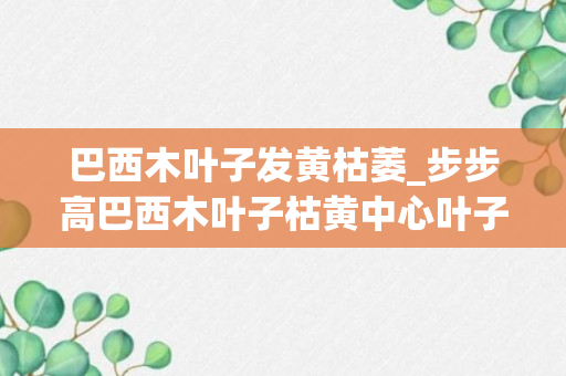 巴西木叶子发黄枯萎_步步高巴西木叶子枯黄中心叶子干枯是怎么回事