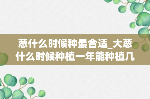 葱什么时候种最合适_大葱什么时候种植一年能种植几次大葱的生长时间是多少