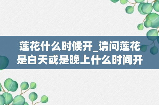 莲花什么时候开_请问莲花是白天或是晚上什么时间开花