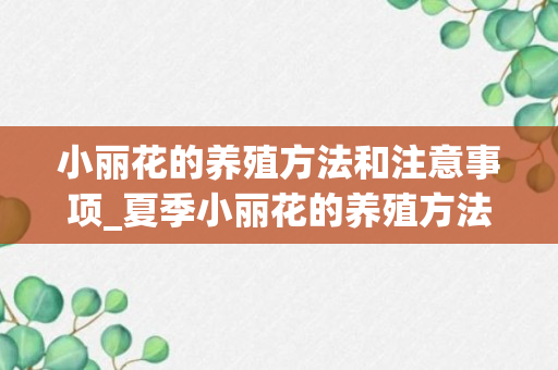 小丽花的养殖方法和注意事项_夏季小丽花的养殖方法和注意事项