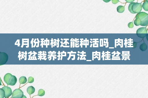 4月份种树还能种活吗_肉桂树盆栽养护方法_肉桂盆景怎么养