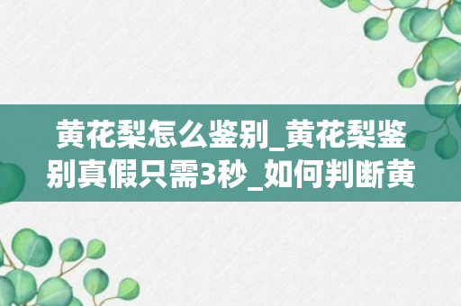 黄花梨怎么鉴别_黄花梨鉴别真假只需3秒_如何判断黄花梨的真假