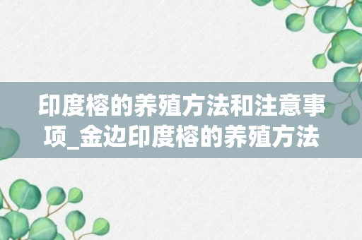 印度榕的养殖方法和注意事项_金边印度榕的养殖方法和注意事项_洒金榕养殖方法和注意事项