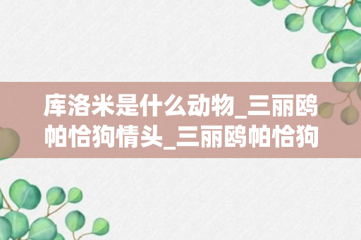 库洛米是什么动物_三丽鸥帕恰狗情头_三丽鸥帕恰狗壁纸