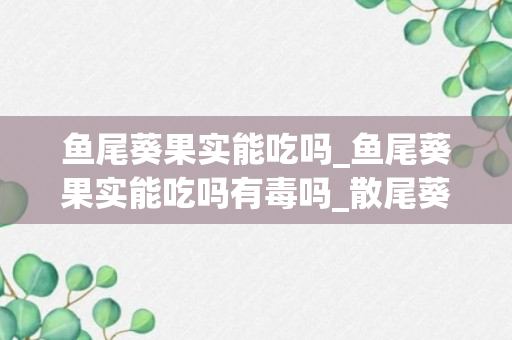 鱼尾葵果实能吃吗_鱼尾葵果实能吃吗有毒吗_散尾葵果实有毒吗