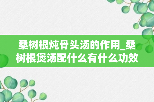 桑树根炖骨头汤的作用_桑树根煲汤配什么有什么功效_桑树根熬水的功效与作用