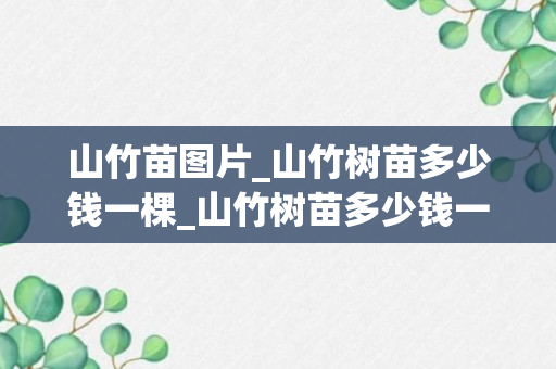 山竹苗图片_山竹树苗多少钱一棵_山竹树苗多少钱一棵图片