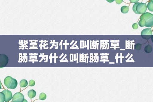 紫堇花为什么叫断肠草_断肠草为什么叫断肠草_什么是断肠草