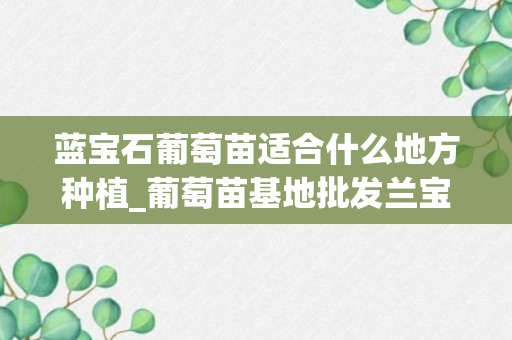 蓝宝石葡萄苗适合什么地方种植_葡萄苗基地批发兰宝石_哪里有蓝宝石葡萄苗出售