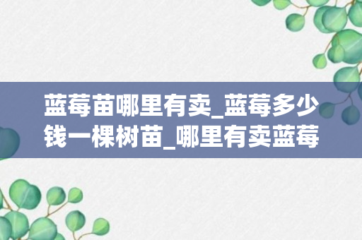 蓝莓苗哪里有卖_蓝莓多少钱一棵树苗_哪里有卖蓝莓苗一棵多少钱