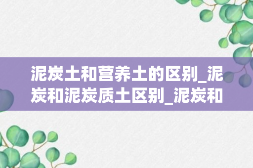 泥炭土和营养土的区别_泥炭和泥炭质土区别_泥炭和泥炭质土区别在哪