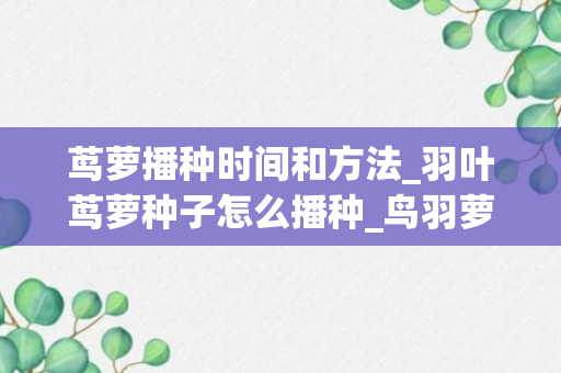 茑萝播种时间和方法_羽叶茑萝种子怎么播种_鸟羽萝种子什么时候播种