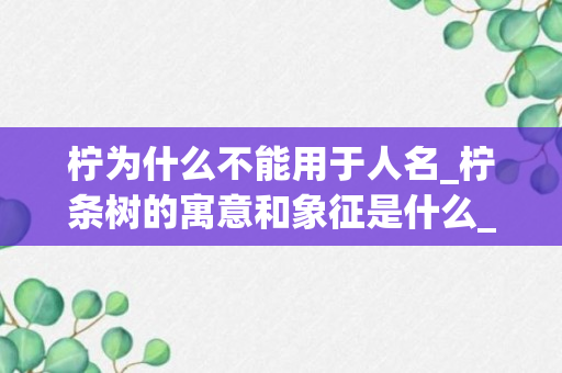 柠为什么不能用于人名_柠条树的寓意和象征是什么_柠檬树的寓意是什么