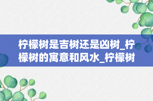 柠檬树是吉树还是凶树_柠檬树的寓意和风水_柠檬树放在家里风水