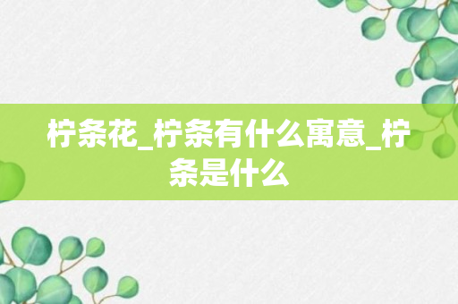 柠条花_柠条有什么寓意_柠条是什么