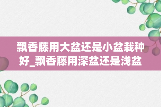 飘香藤用大盆还是小盆栽种好_飘香藤用深盆还是浅盆_飘香藤适合大盆还是浅盆养着