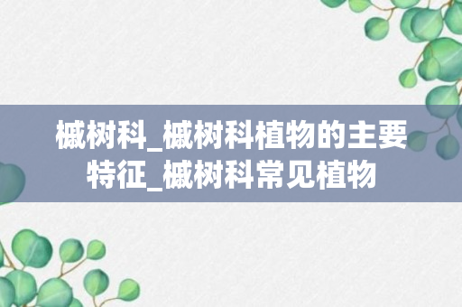 槭树科_槭树科植物的主要特征_槭树科常见植物