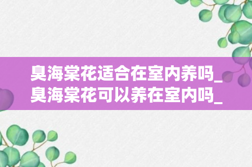 臭海棠花适合在室内养吗_臭海棠花可以养在室内吗_它会释放出有毒的气体吗