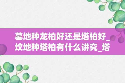 墓地种龙柏好还是塔柏好_坟地种塔柏有什么讲究_塔柏栽坟墓有哪些讲究