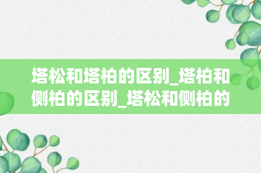 塔松和塔柏的区别_塔柏和侧柏的区别_塔松和侧柏的区别