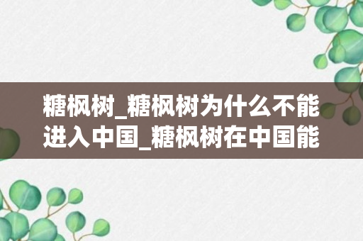 糖枫树_糖枫树为什么不能进入中国_糖枫树在中国能种植吗