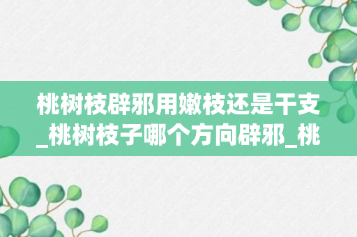 桃树枝辟邪用嫩枝还是干支_桃树枝子哪个方向辟邪_桃树枝哪个方向的比较辟邪