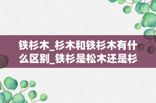 铁杉木_杉木和铁杉木有什么区别_铁杉是松木还是杉木