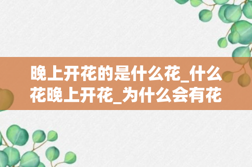 晚上开花的是什么花_什么花晚上开花_为什么会有花在晚上开呐