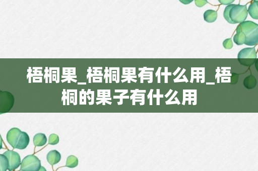 梧桐果_梧桐果有什么用_梧桐的果子有什么用