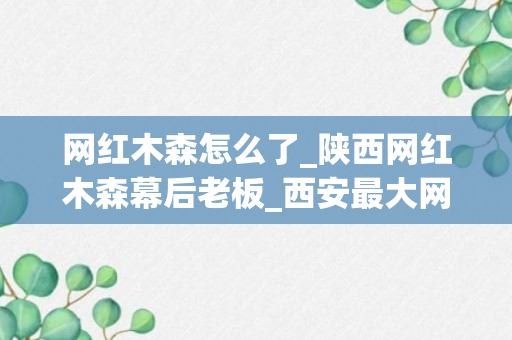 网红木森怎么了_陕西网红木森幕后老板_西安最大网红是不是木森