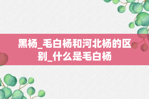 黑杨_毛白杨和河北杨的区别_什么是毛白杨