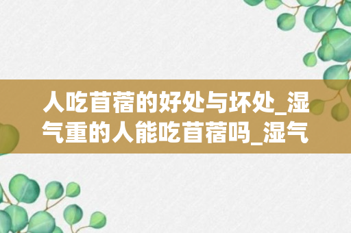 人吃苜蓿的好处与坏处_湿气重的人能吃苜蓿吗_湿气重吃什么草