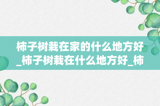 柿子树栽在家的什么地方好_柿子树栽在什么地方好_柿子树种在什么地方好