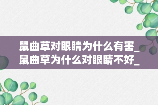 鼠曲草对眼睛为什么有害_鼠曲草为什么对眼睛不好_鼠曲草吃多了会怎么样