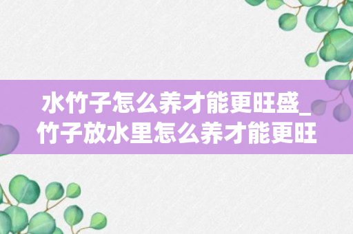 水竹子怎么养才能更旺盛_竹子放水里怎么养才能更旺盛_水养竹子怎么养才能更旺盛